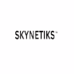 SEO-SkyNetiks
