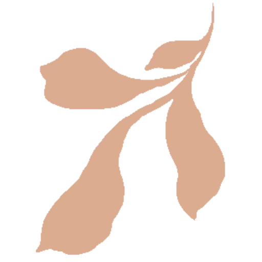 PATTERNISSE