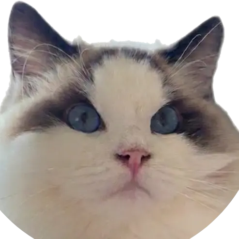 Hacker News AI Detector