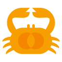 Crab Fit logo
